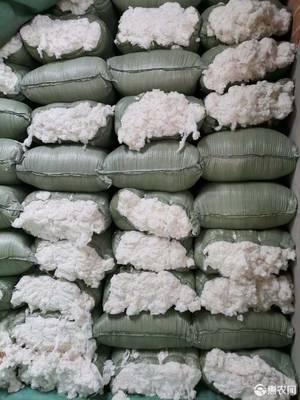 棉花加工与品质探析 从优质棉絮到工艺细节